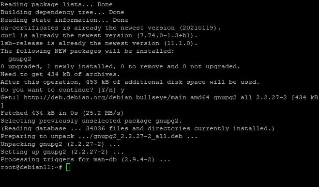 how-to-install-nginx-on-debian-11