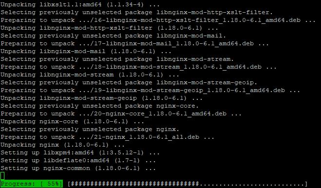 nginx-installation-unter-debian-11