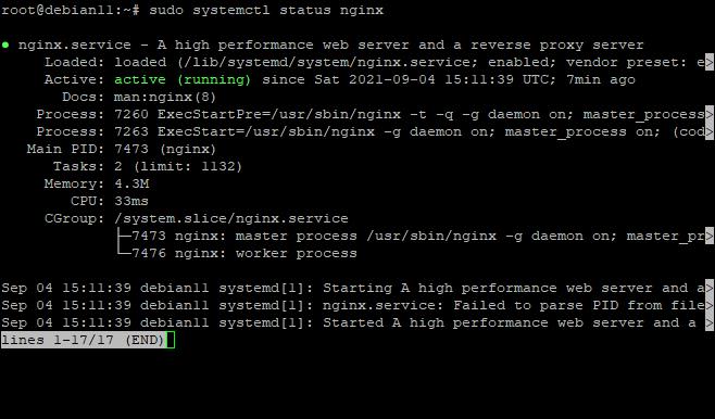 nginx-installation-unter-debian-11